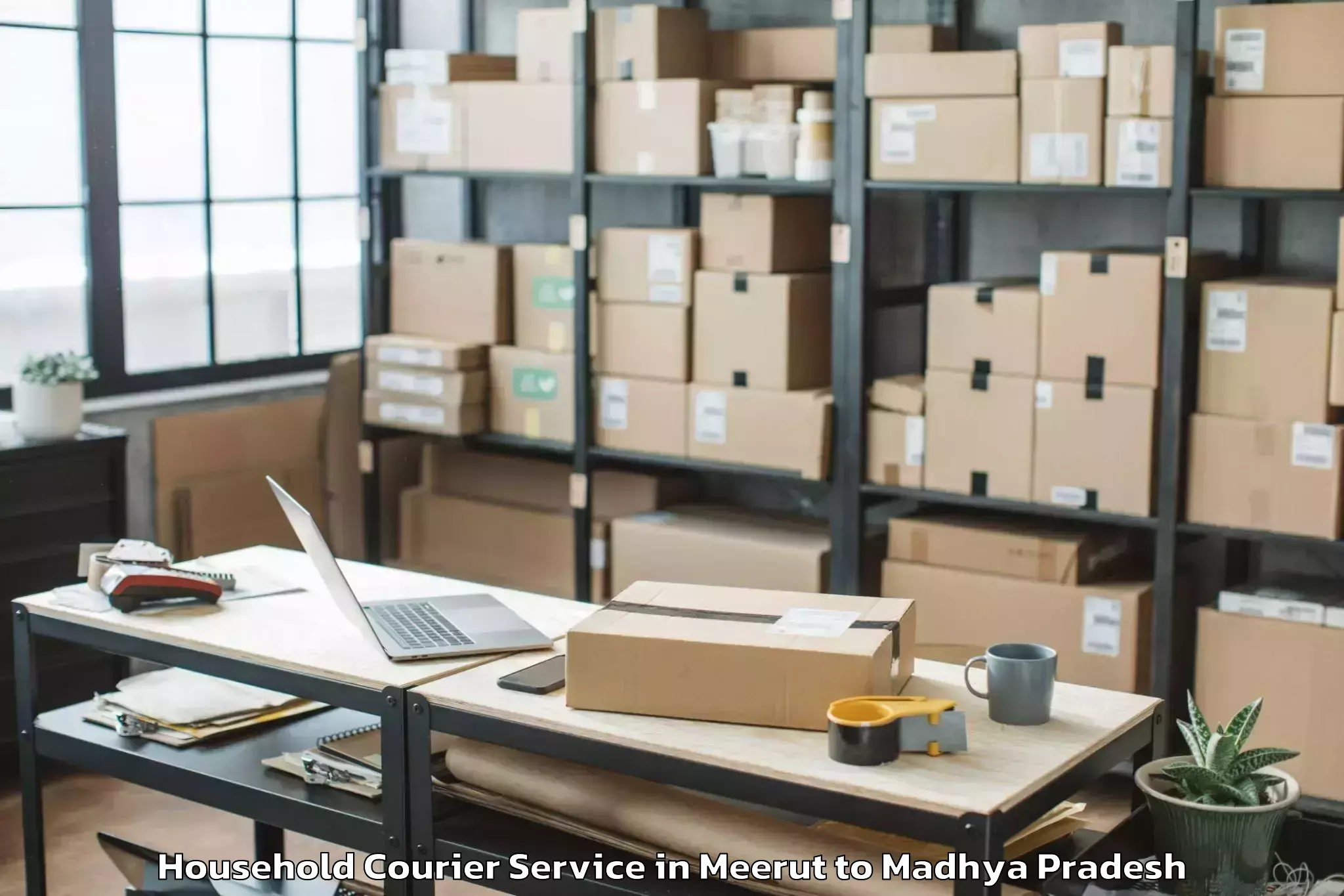 Hassle-Free Meerut to Mhow Household Courier